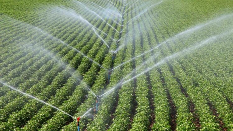 Bireysel sulama sistemlerine sağlanan hibelerde limit 3 milyon TL'ye yükseltildi bireysel sulama habermeydan