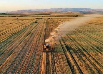 Çiftçilere yönelik destek ödemeleri başladı