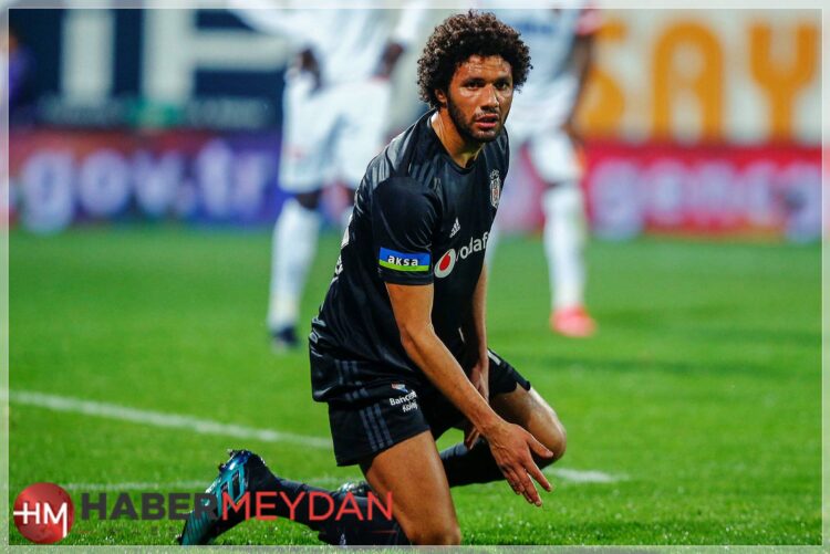 elneny 2