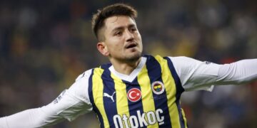 Fenerbahçe 2-1 MKE Ankaragücü