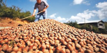 Fındık ihracatıyla 1 milyar 866 milyon 735 bin 417 dolar döviz girdisi sağladı