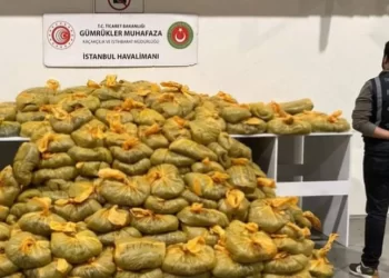 İstanbul Havalimanı’nda 586 kilo uyuşturucu ele geçirildi!