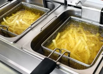 81 ilde kızartma yağlarına 10 gün süre ile denetim