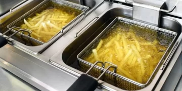 81 ilde kızartma yağlarına 10 gün süre ile denetim