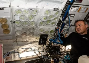 Alper Gezeravcı, ‘MESSAGE’ deneyine resmi olarak başladı