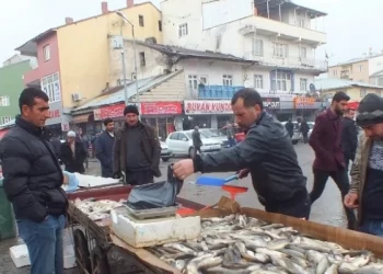 Muş Malazgirt'te murat balığına yoğun ilgi! Muş Malazgirt’te murat balığına yoğun ilgi!