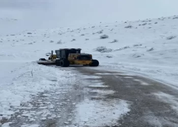 Muş’ta 38 köye ulaşım sağlanamıyor!