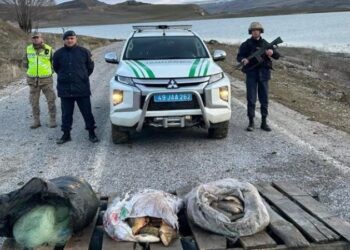 Muş’ta kaçak avcılık yapan 2 kişiye yüksek idari para cezası verildi!