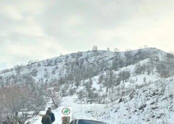 Muş’ta kaçak avlanan 8 kişiye yüksek idari para cezası kesildi!