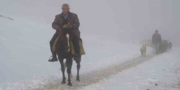 Muş’ta keçi sürüsünün kar üzerinde zorlu yolculuğu!