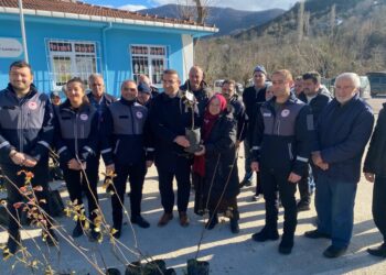 Sinop Ayancık’ta çiftçilere meyva fidanı dağıtıldı