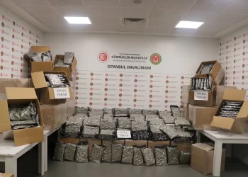 Ticaret Bakanlığı açıkladı! 463 kilo uyuşturucu ve 13 ton kaçak çay ele geçirildi