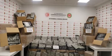 Ticaret Bakanlığı açıkladı! 463 kilo uyuşturucu ve 13 ton kaçak çay ele geçirildi