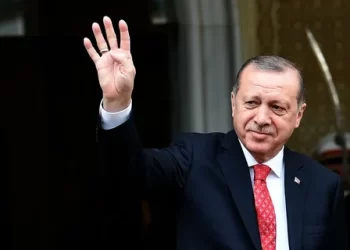 Erdoğan, Birleşik Arap Emirlikleri ve Mısır’a ziyaretlerde bulunacak