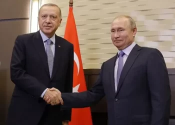 Erdoğan, Putin ile telefonda görüştü