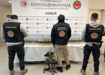 Şubat ayında gümrüklerde 4,2 milyarlık kaçak eşya ve uyuşturucu ele geçirildi