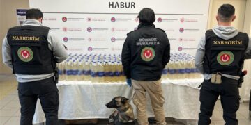 Şubat ayında gümrüklerde 4,2 milyarlık kaçak eşya ve uyuşturucu ele geçirildi