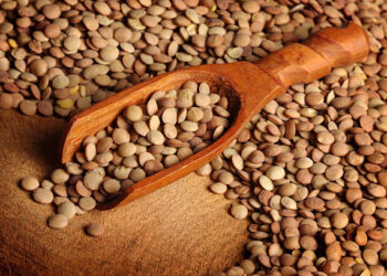 Yeşil mercimek ithalatında gümrük vergisi sıfırlandı