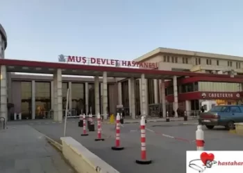 Muş’a 28 uzman 19 pratisyen hekim atandı!
