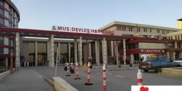 Muş’a 28 uzman 19 pratisyen hekim atandı!