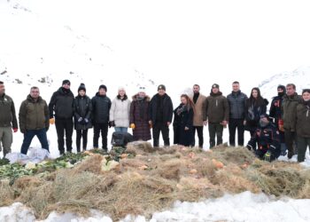 Muş Valisi Çakır, yaban hayvanları için doğaya yem bıraktı