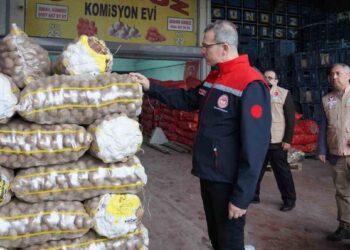 Patates ve soğana fahiş fiyat denetimi