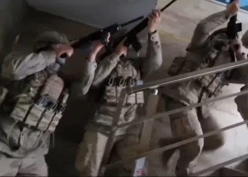 ‘Alevler’ suç örgütü çökertildi