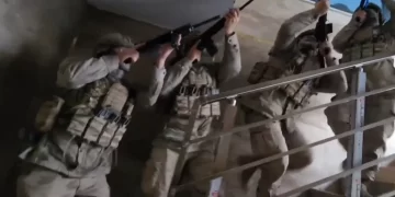 ‘Alevler’ suç örgütü çökertildi