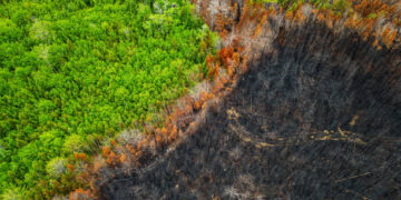 Orman yangınlarında kullanılan sistem uluslararası ödüle aday
