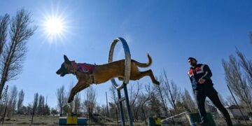 Van’da Jandarmanın en büyük yardımcısı dedektör köpekler