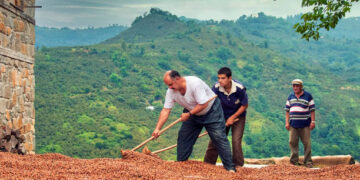 TÜİK: Yeterlilik derecesi en yüksek bitkisel ürün fındık