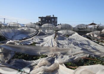 Antalya’da meydana gelen hortum felaketi: 1000 dönüm sera hasar aldı, 6 kişi yaralandı