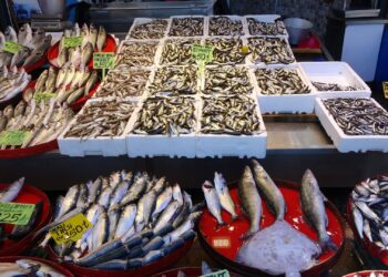 Ramazan’ın ilk gününde tezgâhlarda balık çeşitliliği