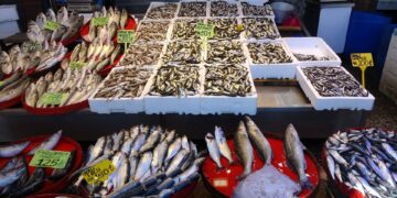 Ramazan’ın ilk gününde tezgâhlarda balık çeşitliliği