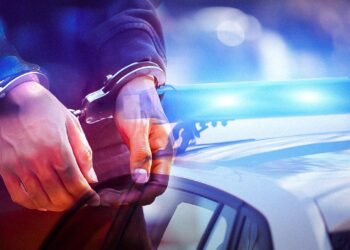 8 ilde ‘Bozdoğan-16’ operasyonu: 40 şüpheli yakalandı