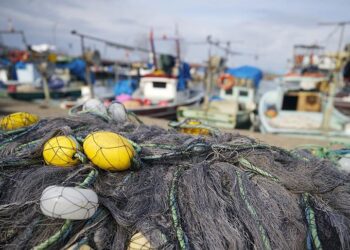 Karadenizli balıkçılar sezonu erken kapattı