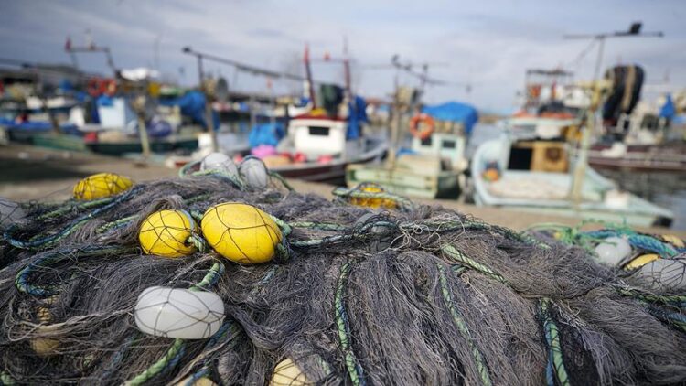 karadeniz habermeydan