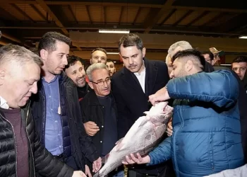 Murat Kurum’dan balık haline ziyaret