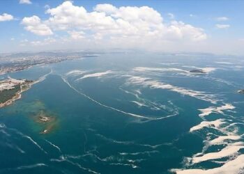 Marmara Denizi için alarm! Canlı nakilleri bekliyoruz