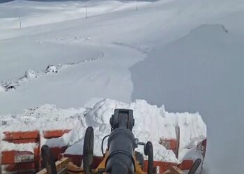 Muş’ta 24 köy yolu kardan ulaşıma kapandı!