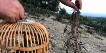 Muş’ta av kabahati işleyen 1 kişiye para cezası uygulandı!