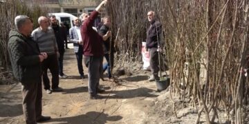 Muş’un Bitlis Caddesi’nde fidan satışları başladı!