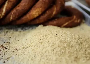 Susam ihracatında rekor! Yüzde 195’lik artış