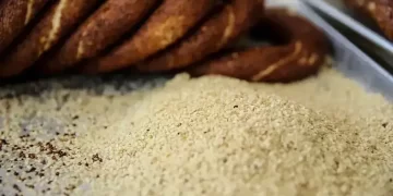 Susam ihracatında rekor! Yüzde 195’lik artış