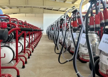 Çiftçilere ‘süt sağım makinesi’ desteği verilecek