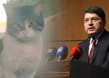 Bakan Tunç’tan ‘Eros’un öldürülmesine verilen ceza hakkında ilk yorum