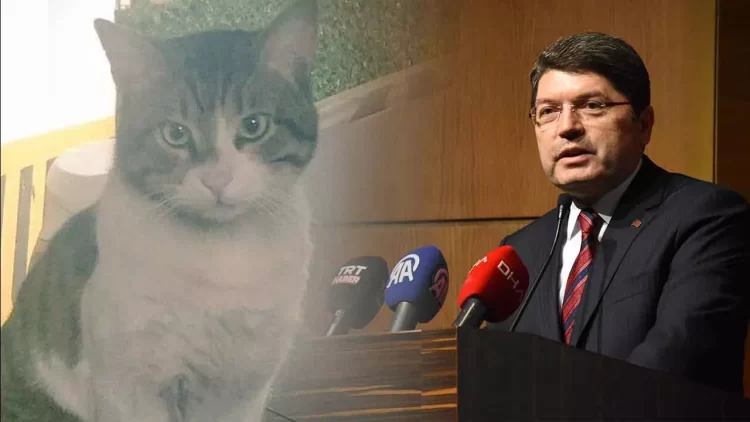 Bakan Tunç'tan 'Eros'un öldürülmesine verilen ceza hakkında ilk yorum tunc eros habermeydan