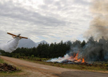Antalya'da orman yangınları tatbikatı! Antalya’da orman yangınları tatbikatı!