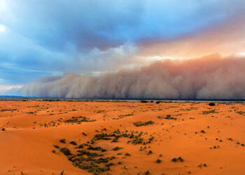 Çöl tozu nedir, neden olur? Solunum yolu hastalıklarına yol açar mı?