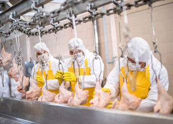 Bakanlık duyurdu! Kanatlı et ihracatına kısıtlama